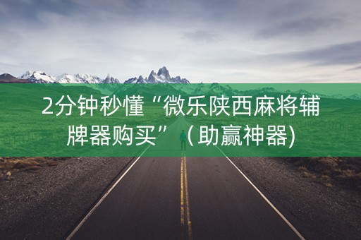 2分钟秒懂“微乐陕西麻将辅牌器购买”（助赢神器)