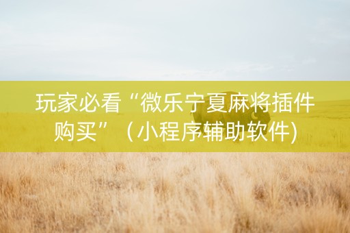 玩家必看“微乐宁夏麻将插件购买”（小程序辅助软件)