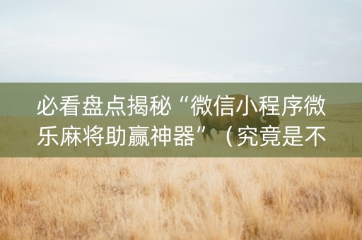 必看盘点揭秘“微信小程序微乐麻将助赢神器”（究竟是不是有挂)