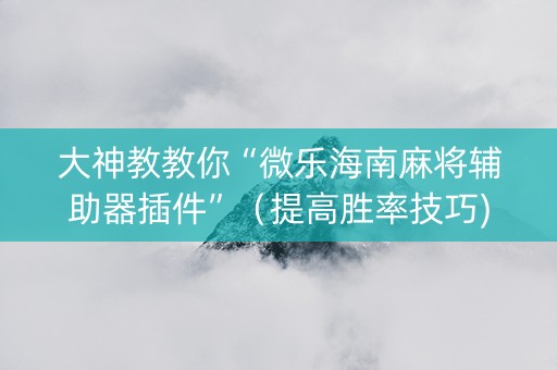 大神教教你“微乐海南麻将辅助器插件”（提高胜率技巧)