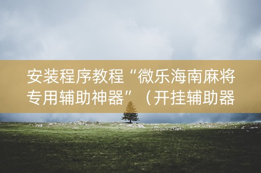 安装程序教程“微乐海南麻将专用辅助神器”（开挂辅助器脚本)
