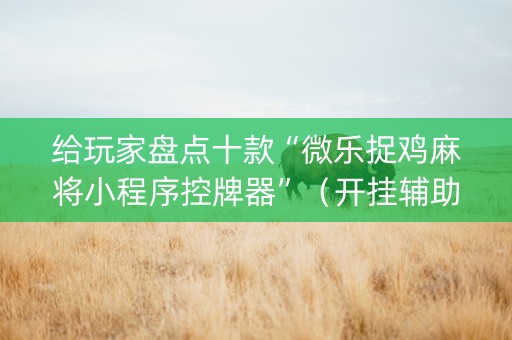 给玩家盘点十款“微乐捉鸡麻将小程序控牌器”（开挂辅助脚本)
