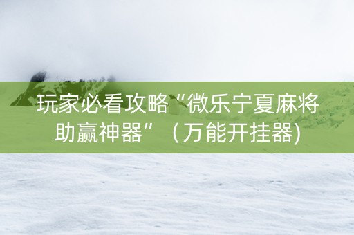 玩家必看攻略“微乐宁夏麻将助赢神器”（万能开挂器)