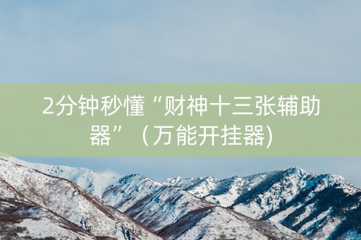 2分钟秒懂“财神十三张辅助器”（万能开挂器)