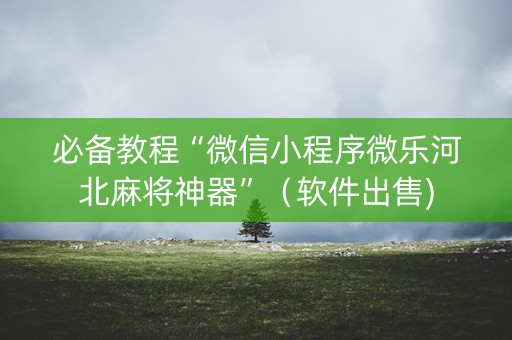 必备教程“微信小程序微乐河北麻将神器”（软件出售)