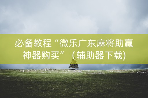 必备教程“微乐广东麻将助赢神器购买”（辅助器下载)