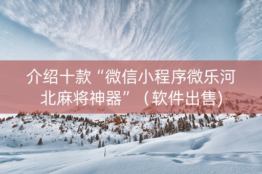 介绍十款“微信小程序微乐河北麻将神器”（软件出售)