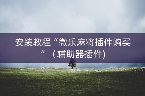 安装教程“微乐麻将插件购买”（辅助器插件)