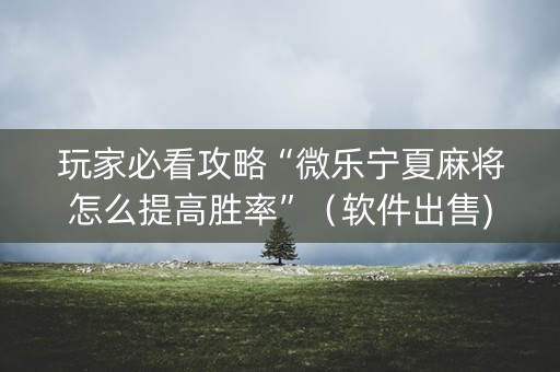 玩家必看攻略“微乐宁夏麻将怎么提高胜率”（软件出售)