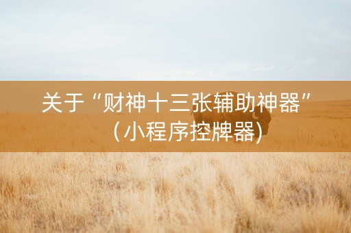 关于“财神十三张辅助神器”（小程序控牌器)
