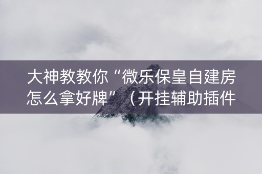 大神教教你“微乐保皇自建房怎么拿好牌”（开挂辅助插件)