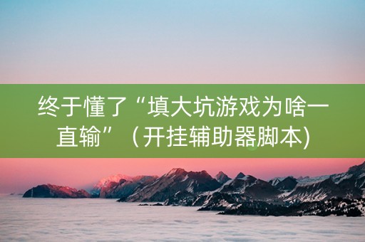 终于懂了“填大坑游戏为啥一直输”（开挂辅助器脚本)