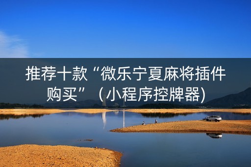 推荐十款“微乐宁夏麻将插件购买”（小程序控牌器)