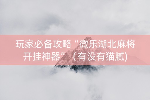 玩家必备攻略“微乐湖北麻将开挂神器”（有没有猫腻)