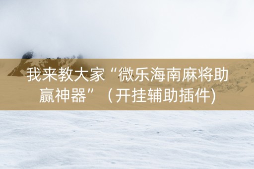 我来教大家“微乐海南麻将助赢神器”（开挂辅助插件)
