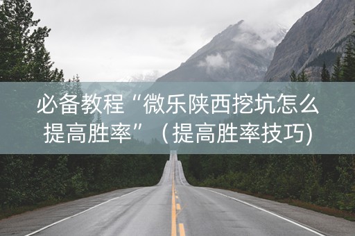 必备教程“微乐陕西挖坑怎么提高胜率”（提高胜率技巧)