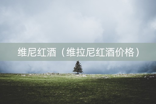 维尼红酒（维拉尼红酒价格）