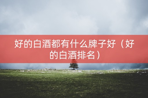 好的白酒都有什么牌子好（好的白酒排名）