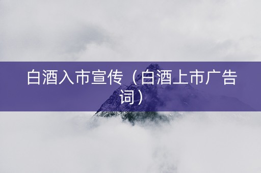 白酒入市宣传（白酒上市广告词）