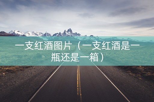 一支红酒图片（一支红酒是一瓶还是一箱）