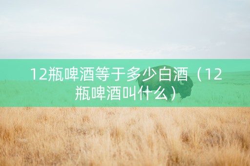 12瓶啤酒等于多少白酒（12瓶啤酒叫什么）