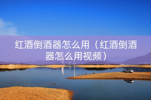 红酒倒酒器怎么用（红酒倒酒器怎么用视频）