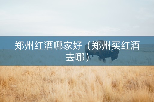 郑州红酒哪家好（郑州买红酒去哪）