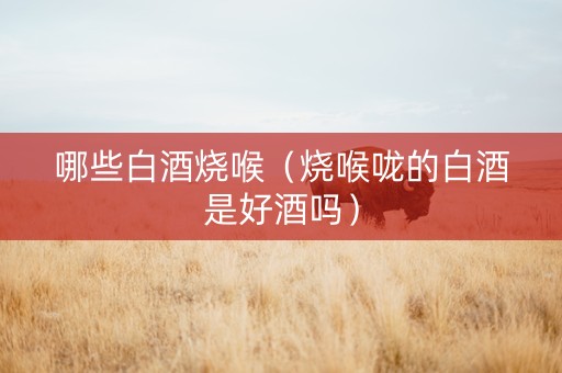 哪些白酒烧喉（烧喉咙的白酒是好酒吗）