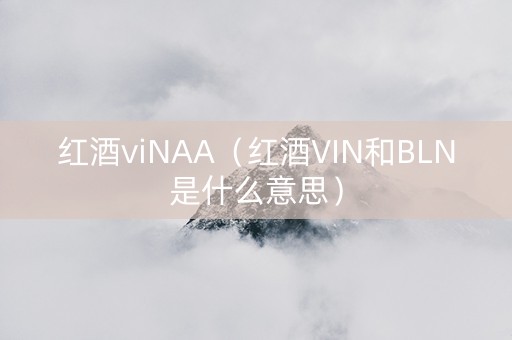 红酒viNAA（红酒VIN和BLN是什么意思）