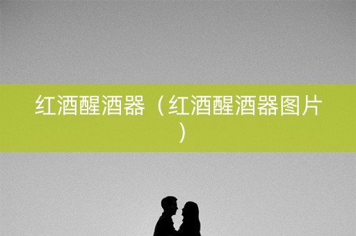 红酒醒酒器（红酒醒酒器图片）