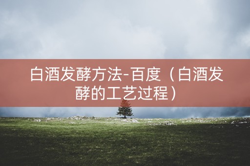 白酒发酵方法-百度（白酒发酵的工艺过程）