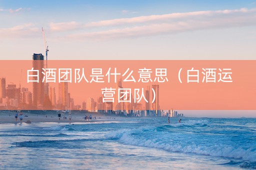 白酒团队是什么意思（白酒运营团队）