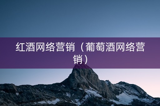 红酒网络营销（葡萄酒网络营销）