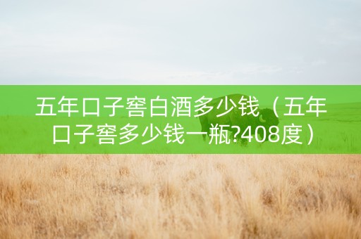 五年口子窖白酒多少钱（五年口子窖多少钱一瓶?408度）