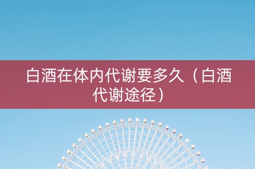 白酒在体内代谢要多久（白酒代谢途径）