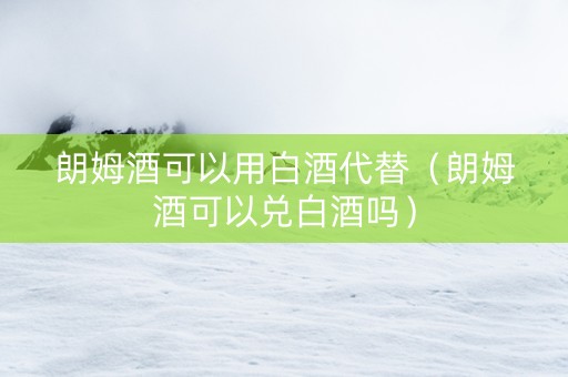 朗姆酒可以用白酒代替（朗姆酒可以兑白酒吗）