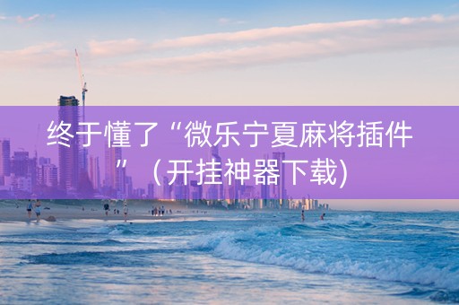 终于懂了“微乐宁夏麻将插件”（开挂神器下载)