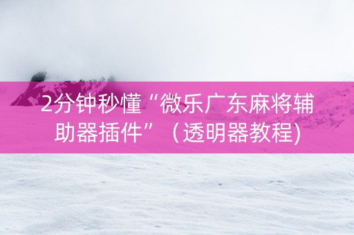 2分钟秒懂“微乐广东麻将辅助器插件”（透明器教程)