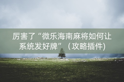 厉害了“微乐海南麻将如何让系统发好牌”（攻略插件)