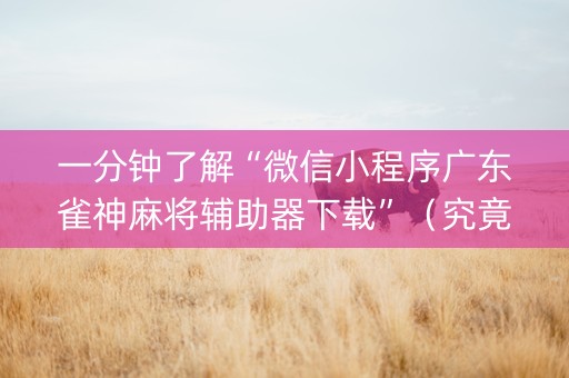 一分钟了解“微信小程序广东雀神麻将辅助器下载”（究竟是不是有挂)