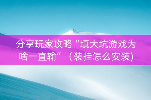 分享玩家攻略“填大坑游戏为啥一直输”（装挂怎么安装)