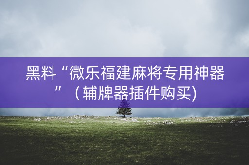 黑料“微乐福建麻将专用神器”（辅牌器插件购买)