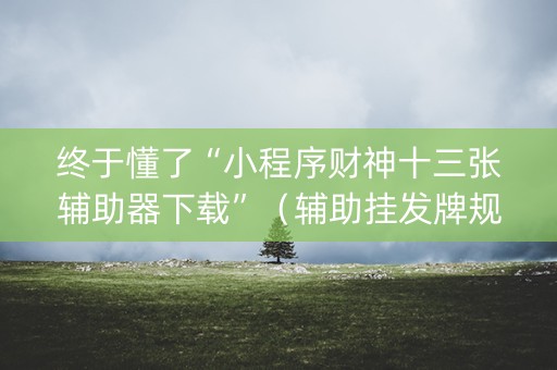 终于懂了“小程序财神十三张辅助器下载”（辅助挂发牌规律)