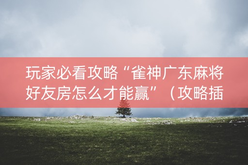 玩家必看攻略“雀神广东麻将好友房怎么才能赢”（攻略插件)