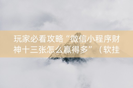 玩家必看攻略“微信小程序财神十三张怎么赢得多”（软挂神器)