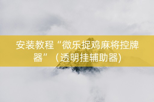 安装教程“微乐捉鸡麻将控牌器”（透明挂辅助器)