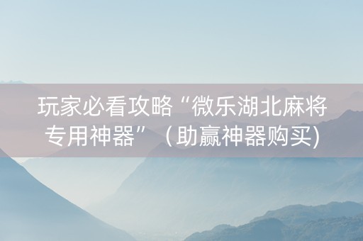 玩家必看攻略“微乐湖北麻将专用神器”（助赢神器购买)