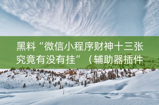黑料“微信小程序财神十三张究竟有没有挂”（辅助器插件)