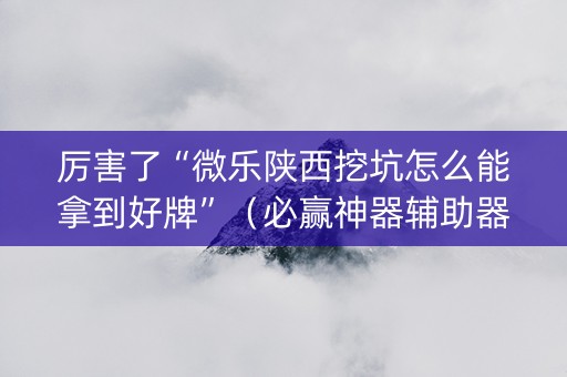 厉害了“微乐陕西挖坑怎么能拿到好牌”（必赢神器辅助器)