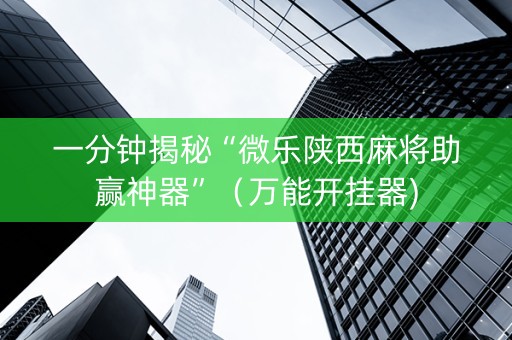一分钟揭秘“微乐陕西麻将助赢神器”（万能开挂器)